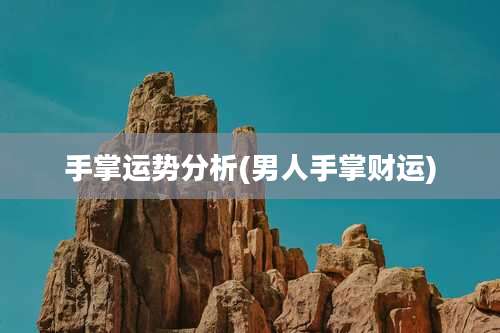 手掌运势分析(男人手掌财运)