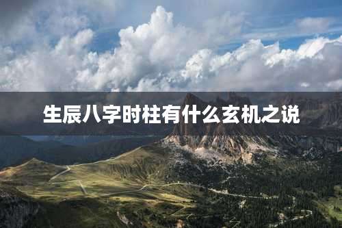 生辰八字时柱有什么玄机之说