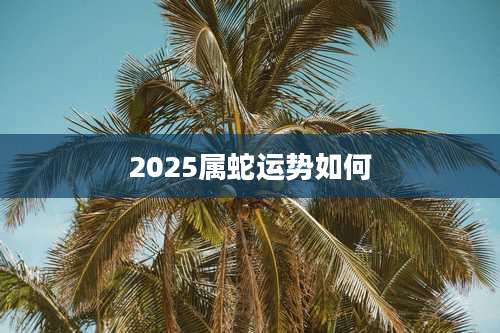 2025属蛇运势如何