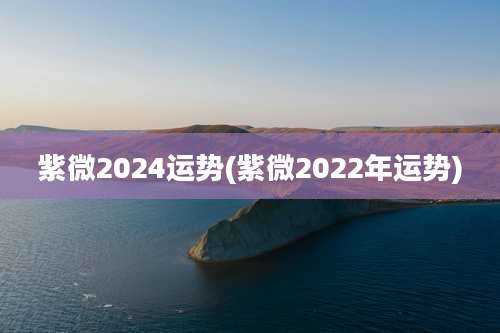 紫微2024运势(紫微2022年运势)