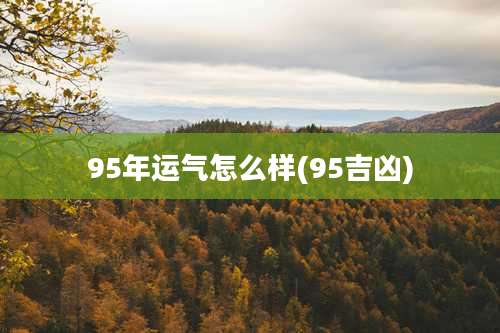 95年运气怎么样(95吉凶)
