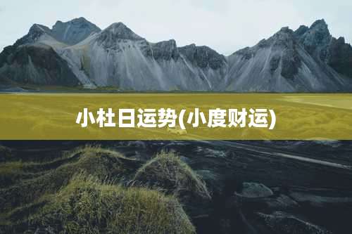 小杜日运势(小度财运)
