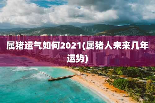 属猪运气如何2021(属猪人未来几年运势)