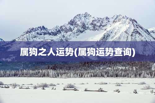 属狗之人运势(属狗运势查询)