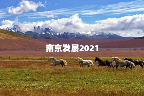南京发展2021