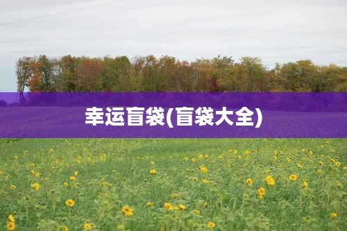 幸运盲袋(盲袋大全)