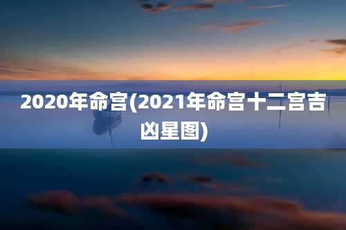 2020年命宫(2021年命宫十二宫吉凶星图)