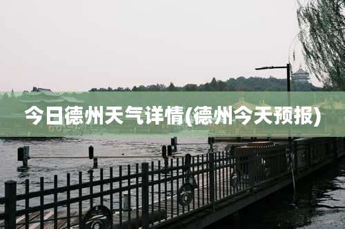 今日德州天气详情(德州今天预报)