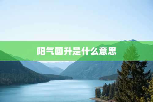 阳气回升是什么意思