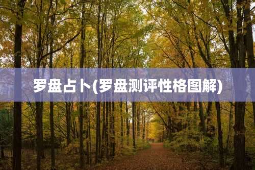 罗盘占卜(罗盘测评性格图解)