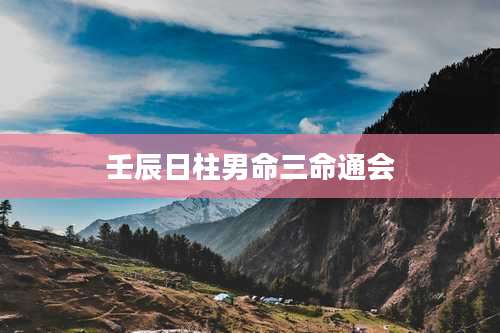 壬辰日柱男命三命通会