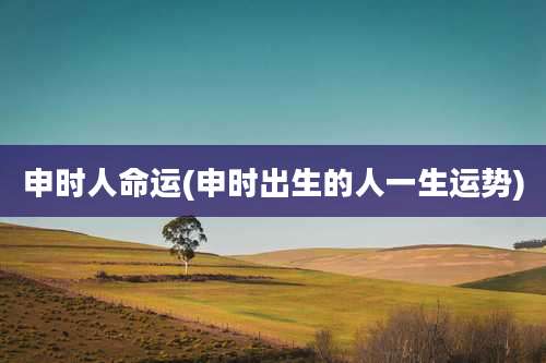申时人命运(申时出生的人一生运势)