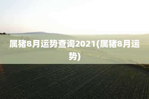属猪8月运势查询2021(属猪8月运势)