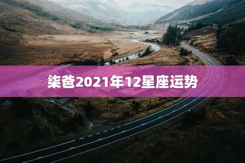 柒爸2021年12星座运势