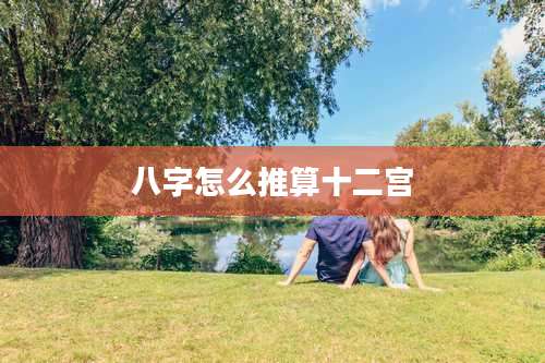 八字怎么推算十二宫