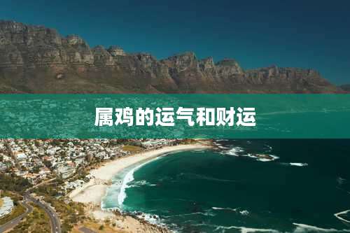 属鸡的运气和财运