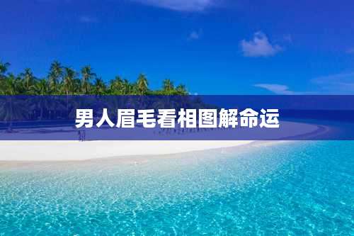 男人眉毛看相图解命运