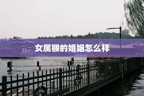 女属猴的婚姻怎么样