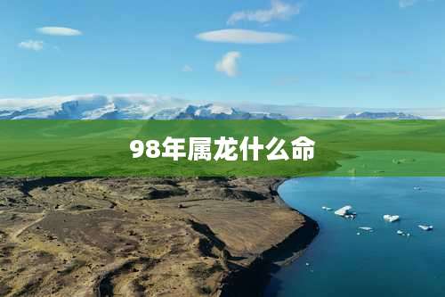 98年属龙什么命