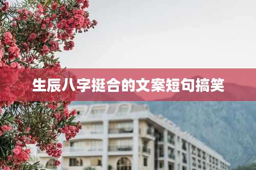 生辰八字挺合的文案短句搞笑