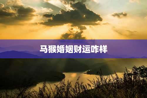 马猴婚姻财运咋样