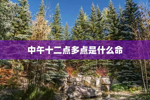 中午十二点多点是什么命