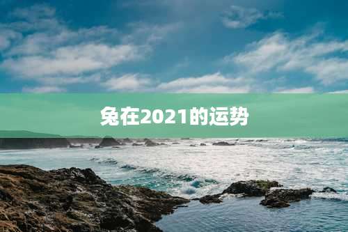 兔在2021的运势