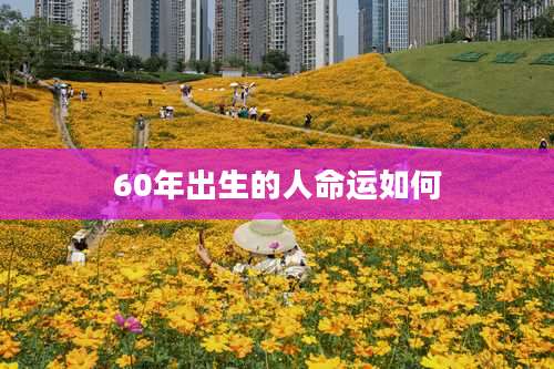 60年出生的人命运如何