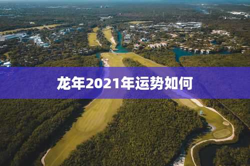 龙年2021年运势如何