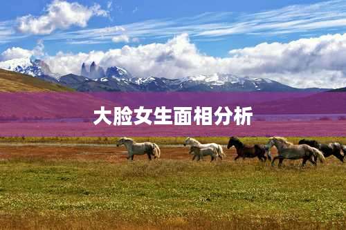 大脸女生面相分析
