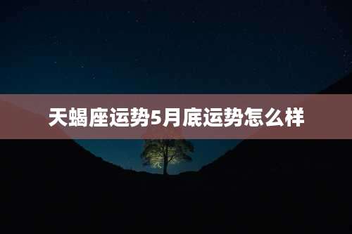 天蝎座运势5月底运势怎么样