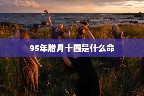 95年腊月十四是什么命