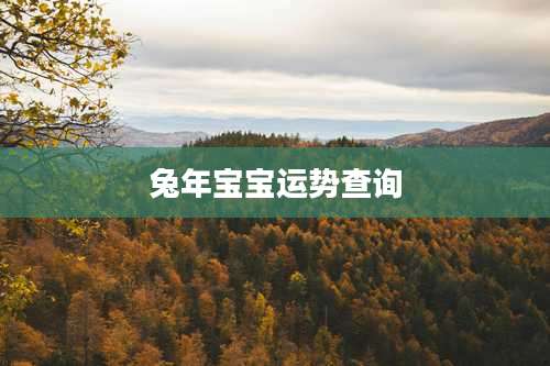 兔年宝宝运势查询