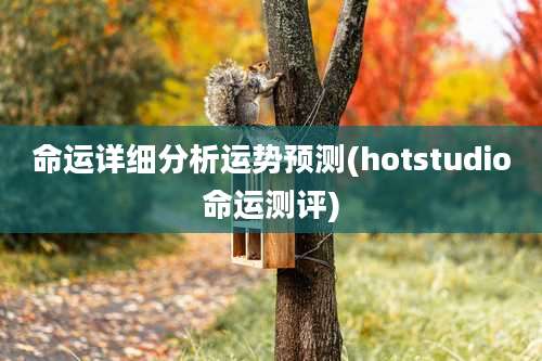 命运详细分析运势预测(hotstudio命运测评)
