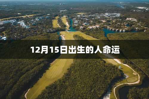 12月15日出生的人命运