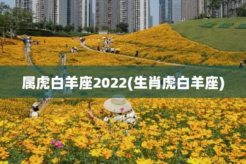 属虎白羊座2022(生肖虎白羊座)