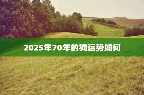 2025年70年的狗运势如何