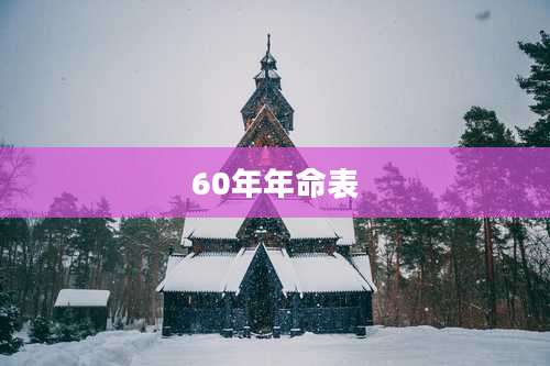 60年年命表