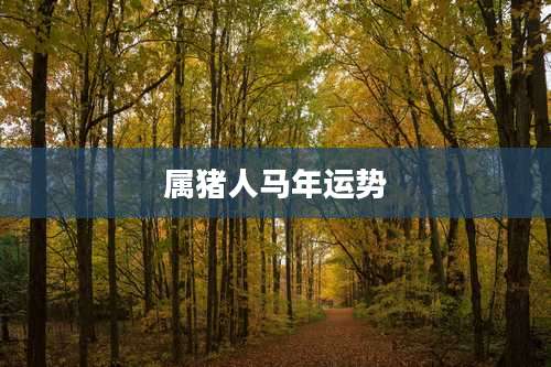 属猪人马年运势