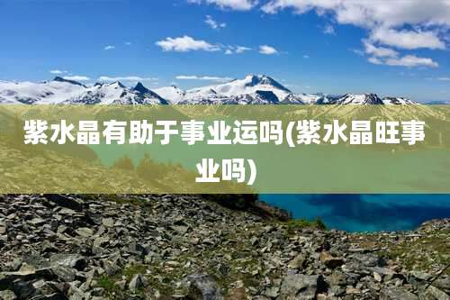 紫水晶有助于事业运吗(紫水晶旺事业吗)