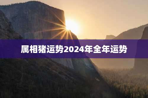 属相猪运势2024年全年运势