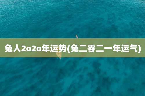 兔人2o2o年运势(兔二零二一年运气)