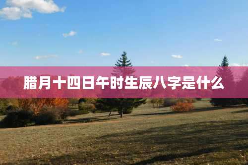 腊月十四日午时生辰八字是什么