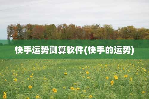 快手运势测算软件(快手的运势)