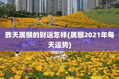 昨天属猴的财运怎样(属猴2021年每天运势)
