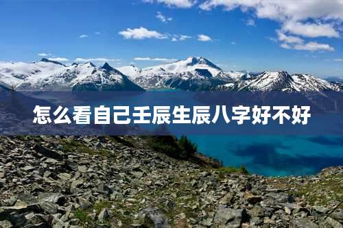 怎么看自己壬辰生辰八字好不好