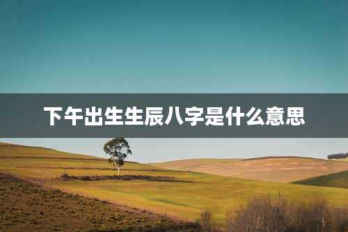 下午出生生辰八字是什么意思