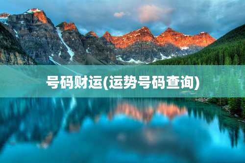 号码财运(运势号码查询)