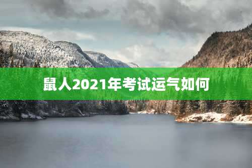 鼠人2021年考试运气如何