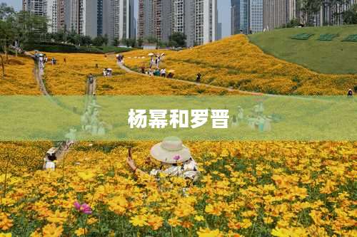 杨幂和罗晋